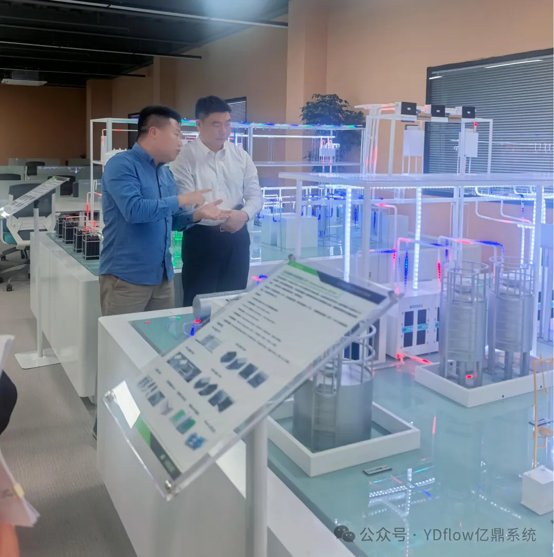 上海市崇明区副区长胡柳强一行莅临亿鼎集团考察指导